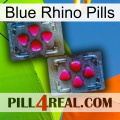 Blue Rhino Pills 15